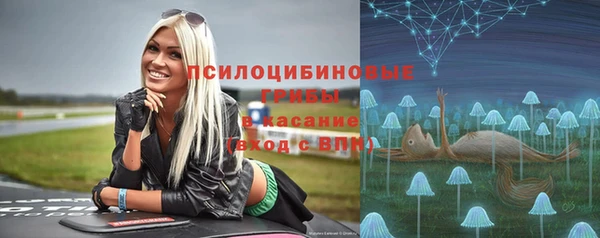 соль ск Балахна