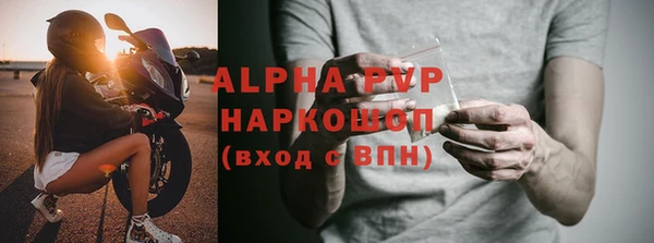 сатива Баксан