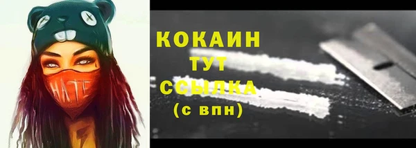 сатива Баксан