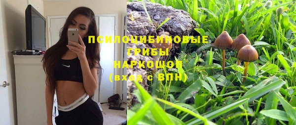 сатива Баксан
