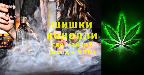 сатива Баксан