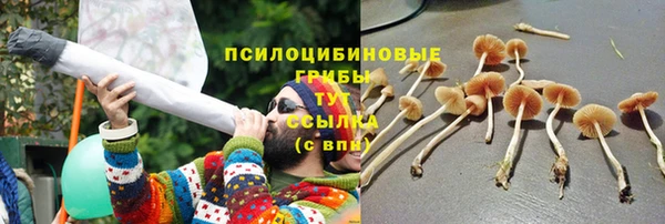 сатива Баксан