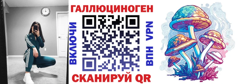 kraken онион  Красный Холм  площадка какой сайт  Галлюциногенные грибы Psilocybe 